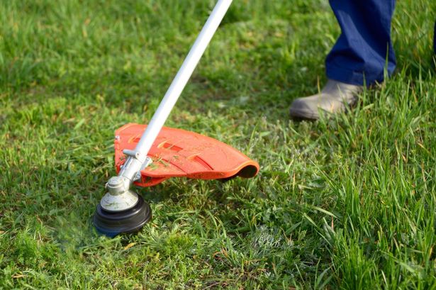 ‘Perfect for tackling awkward areas in garden’ cordless rechargeable strimmer gets 35% off