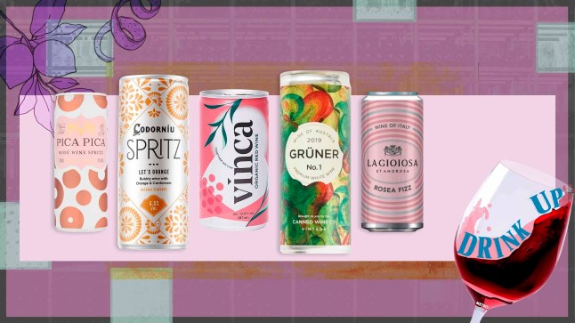 Drink Up logo and background image with various tinnies on top